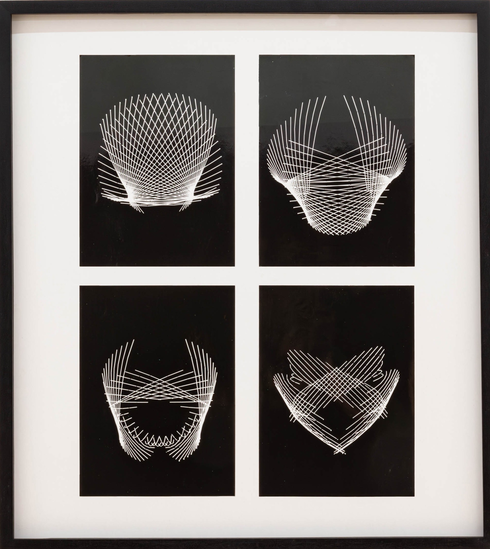 Rotations and Projections - DAM MUSEUM