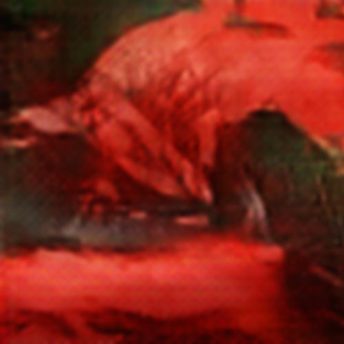 RandGen_20180918-180649_00368 copy