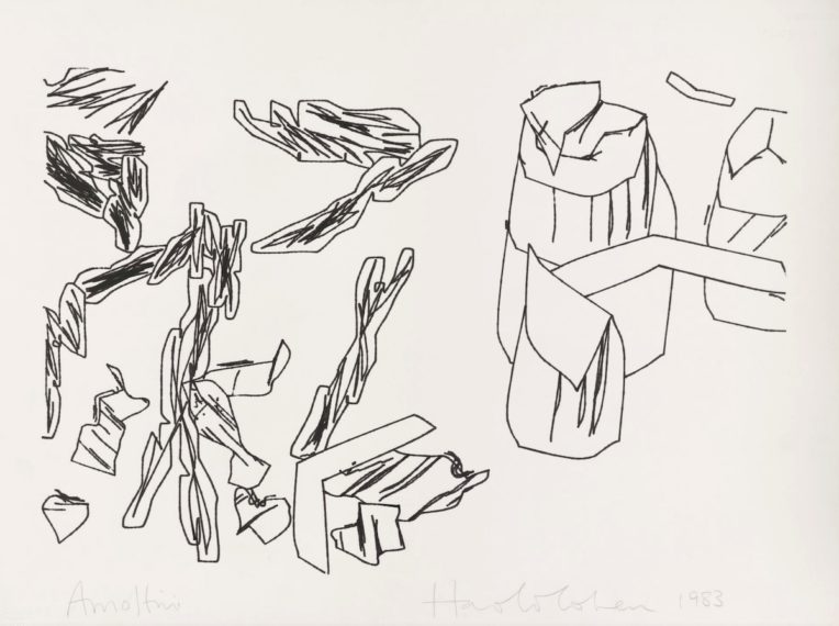 Harold Cohen