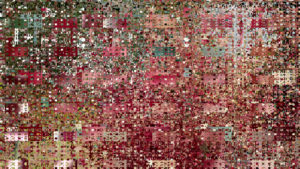 Reas, Tox Screen, 2013