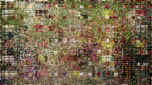 Reas, Tox Screen, 2013