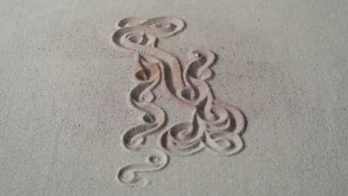 Hebert-Ulysse-ephemeral-96