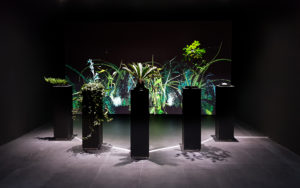 Sommerer and Mignonneau, Interactive Plant Growing, 1992