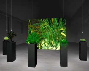 Sommerer and Mignonneau, Interactive Plant Growing, 1992