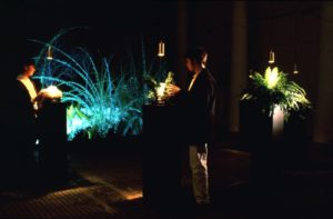 Sommerer and Mignonneau, Interactive Plant Growing, 1992
