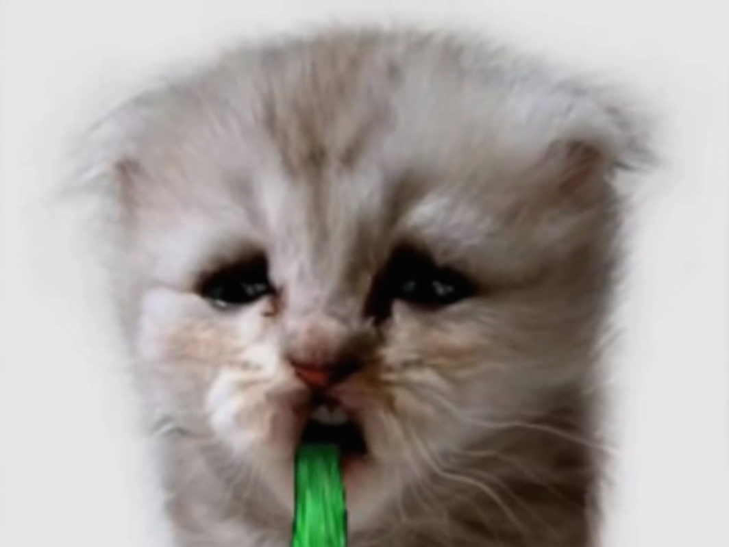 Petra Cortright, Puparazzi. Still from video, 2009