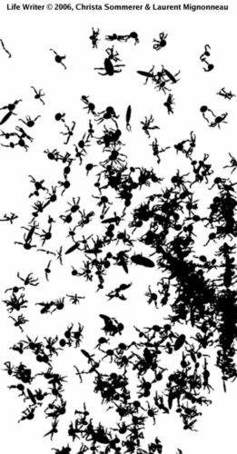 LifeWriterPrint300dpi01