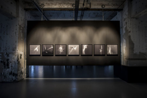 Liminal Laws – Hanneke Wetzer-10