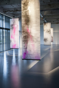 Wagenknecht, Black Hawk Powder, 2014