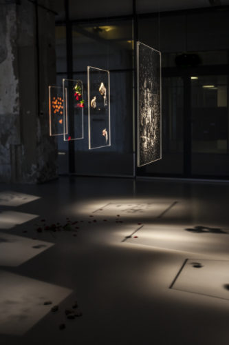 Wagenknecht-Glass Ceiling-2015-Hanneke Wetzer-1