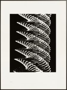 Herbert W. Franke, Electronic graphics (Pendulum Oscillogram Series, 1970